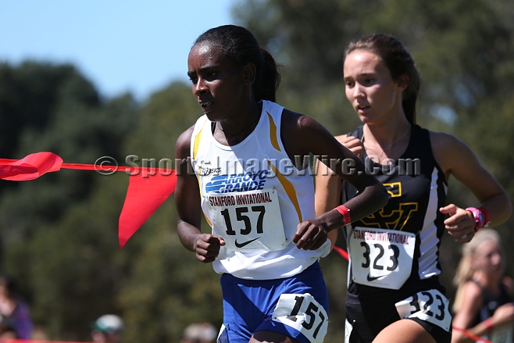 2015SIxcHSSeeded-240.JPG - 2015 Stanford Cross Country Invitational, September 26, Stanford Golf Course, Stanford, California.